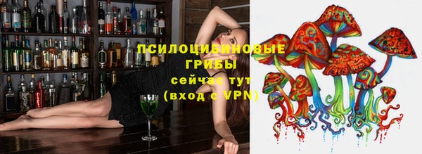 герыч Майский