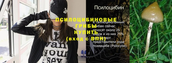 ешки Мегион