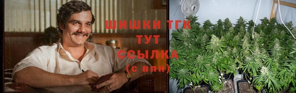 СК Дубна