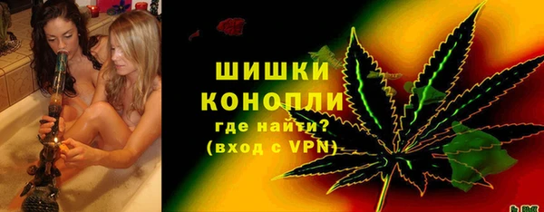 PSILOCYBIN Магас