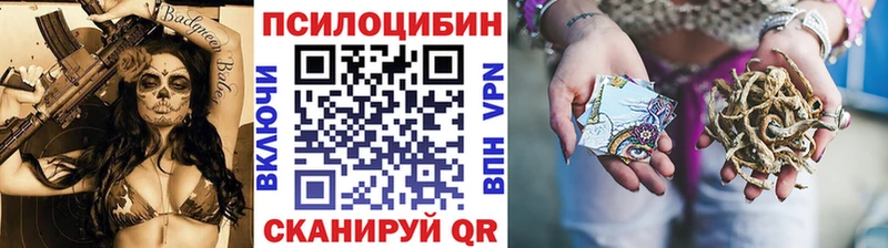Галлюциногенные грибы Psilocybe Луховицы